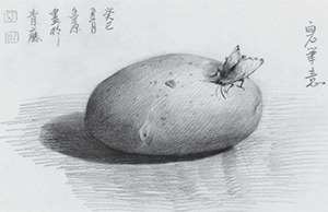 素描土豆的画法