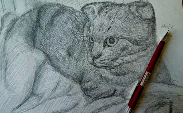 素描猫