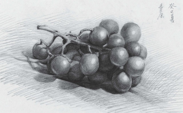 葡萄结构图素描图片