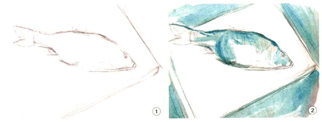 色彩鱼的画法步骤一和二