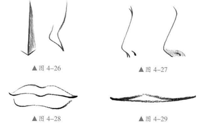 鼻子画法