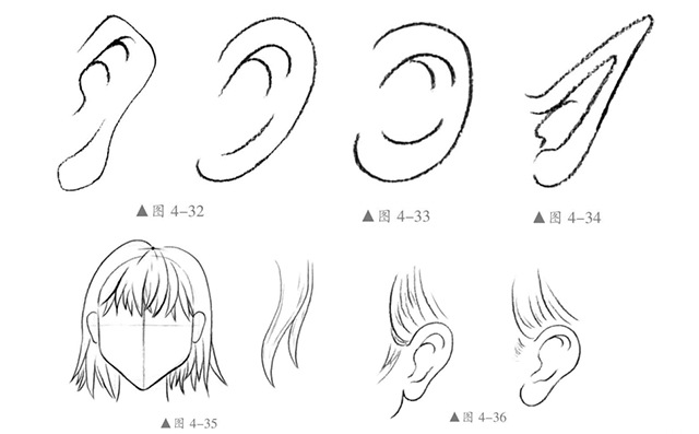 耳朵画法
