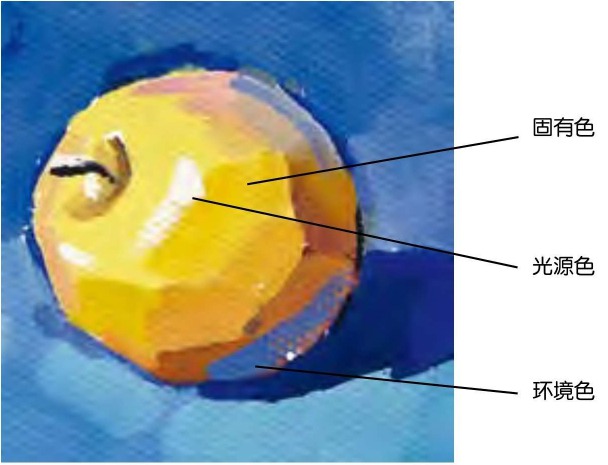 固有色、光源色、环境色