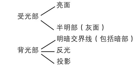 受光面和背光面