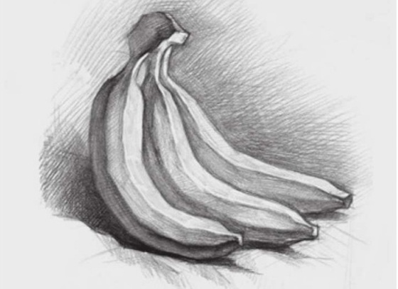 素描香蕉的画法（3）