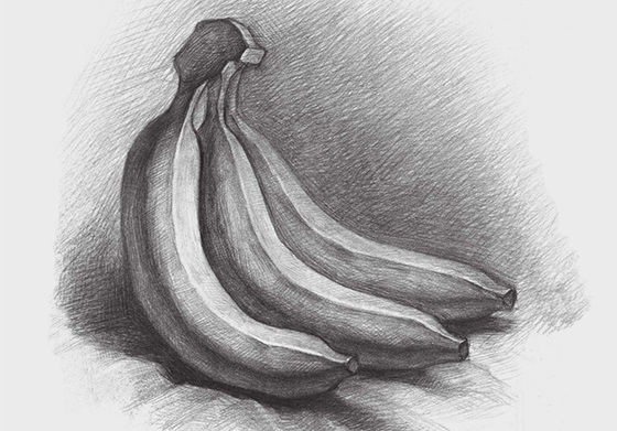 素描香蕉的画法（4）