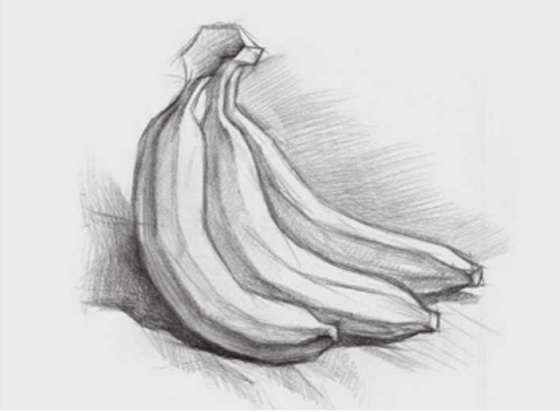 素描香蕉的画法（2）