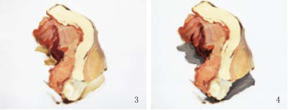 色彩肉的画法（3和4）