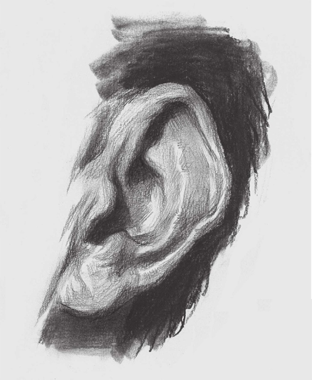 素描耳朵怎么画（4）