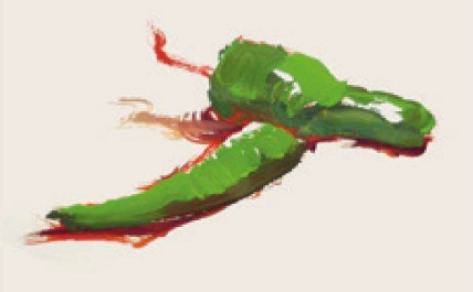 色彩辣椒的画法（3）