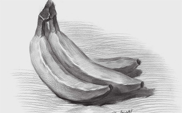 素描香蕉步骤（5）