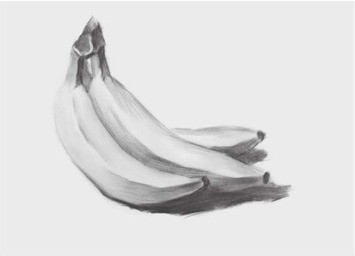素描香蕉步骤（4）