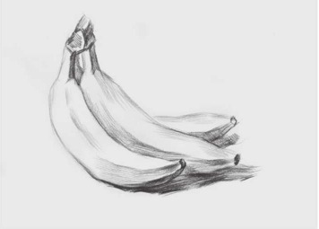 素描香蕉步骤（3）