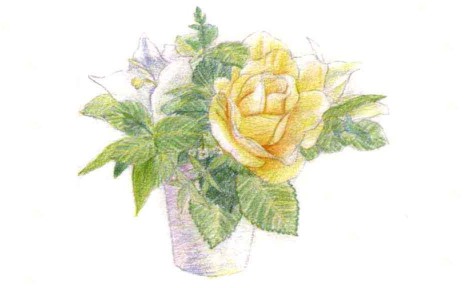儿童玫瑰百合花束怎么画（2）