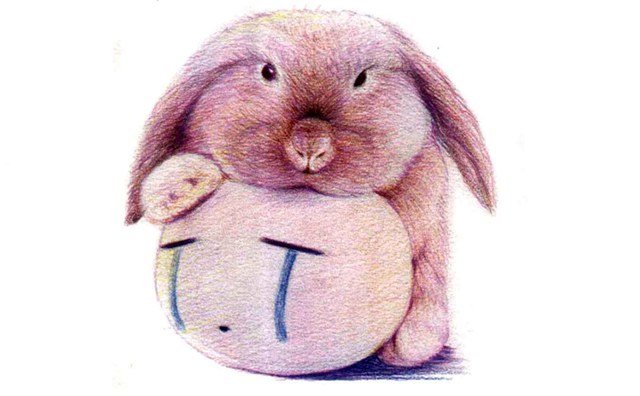 儿童垂耳兔怎么画（4）